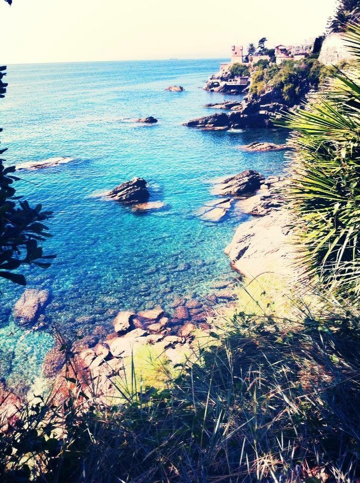 mare