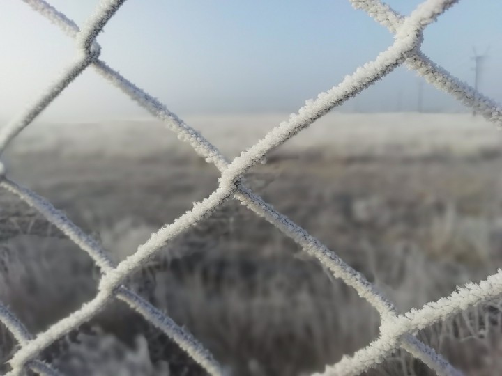 мороз