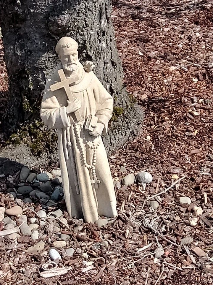 found it on a walk