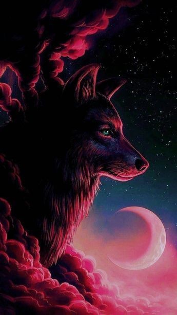 wolf