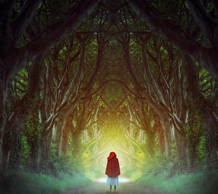 green forest