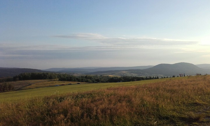 pretty world