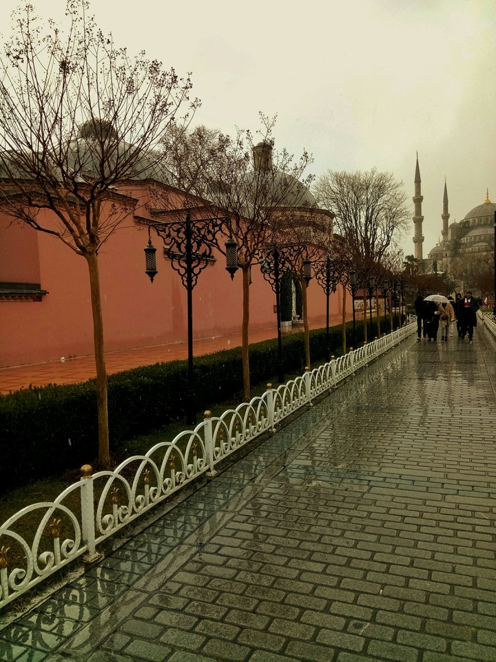 manzara