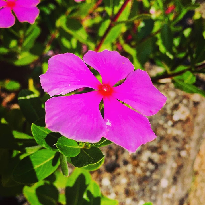 flowiii
