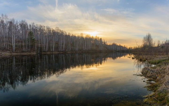 лесное озеро