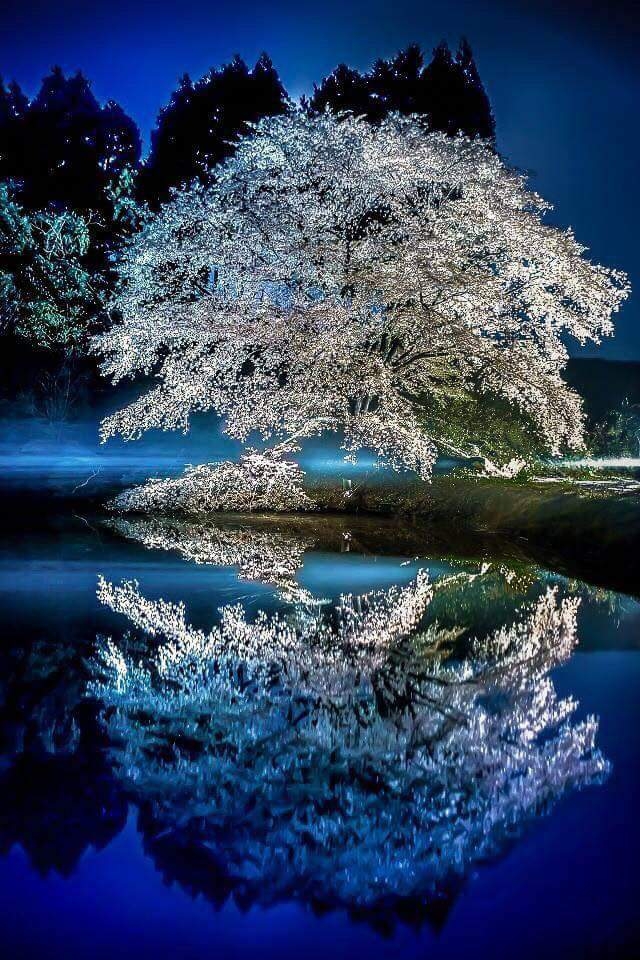 Magical 