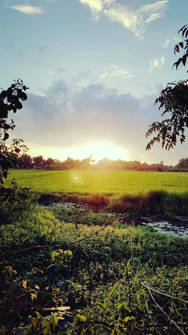 sunset