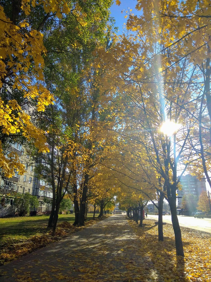 Sunny day