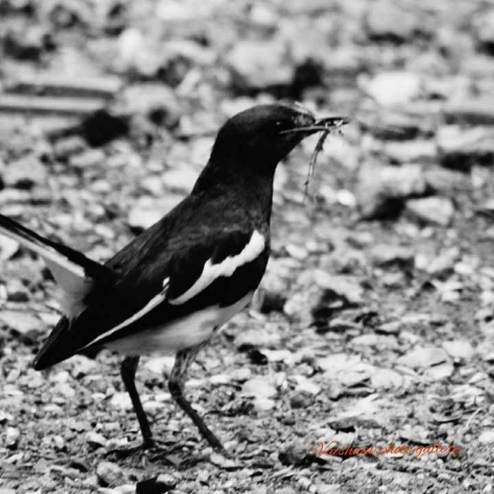 just a click