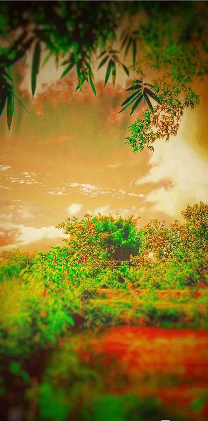 Green wather