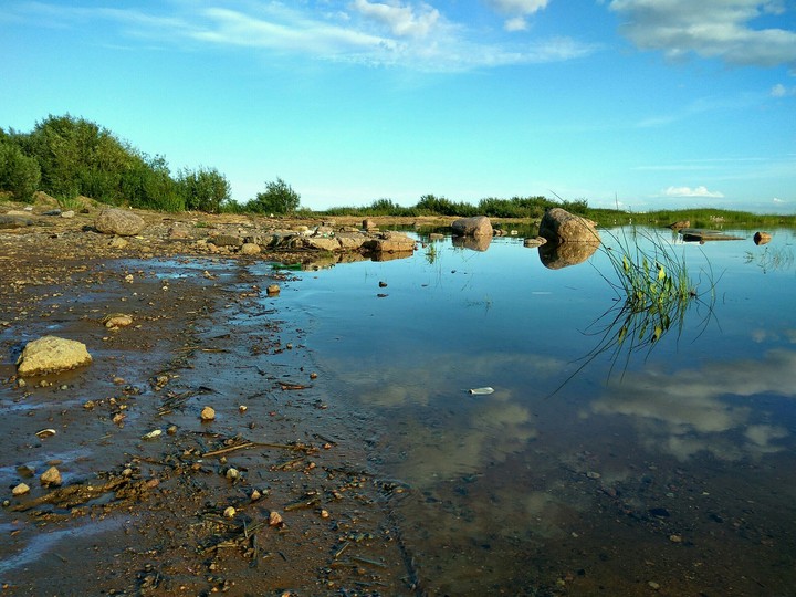 reflection in water