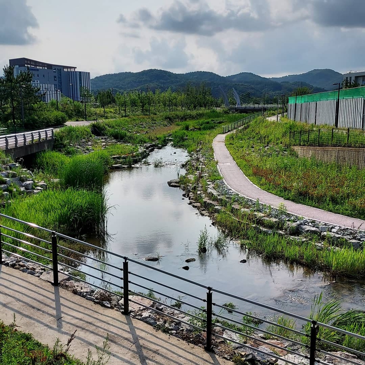 하천이 있는 풍경
