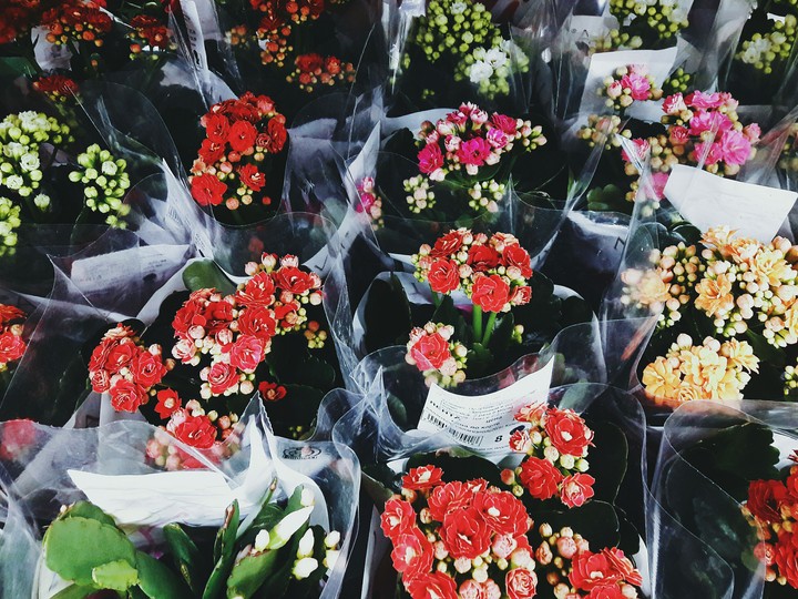 Flowers