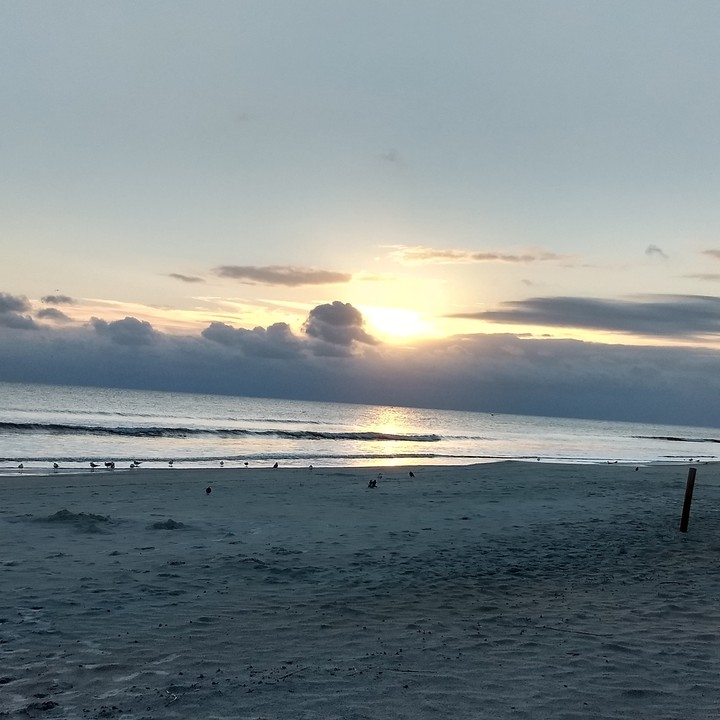 Beach Sunrise
