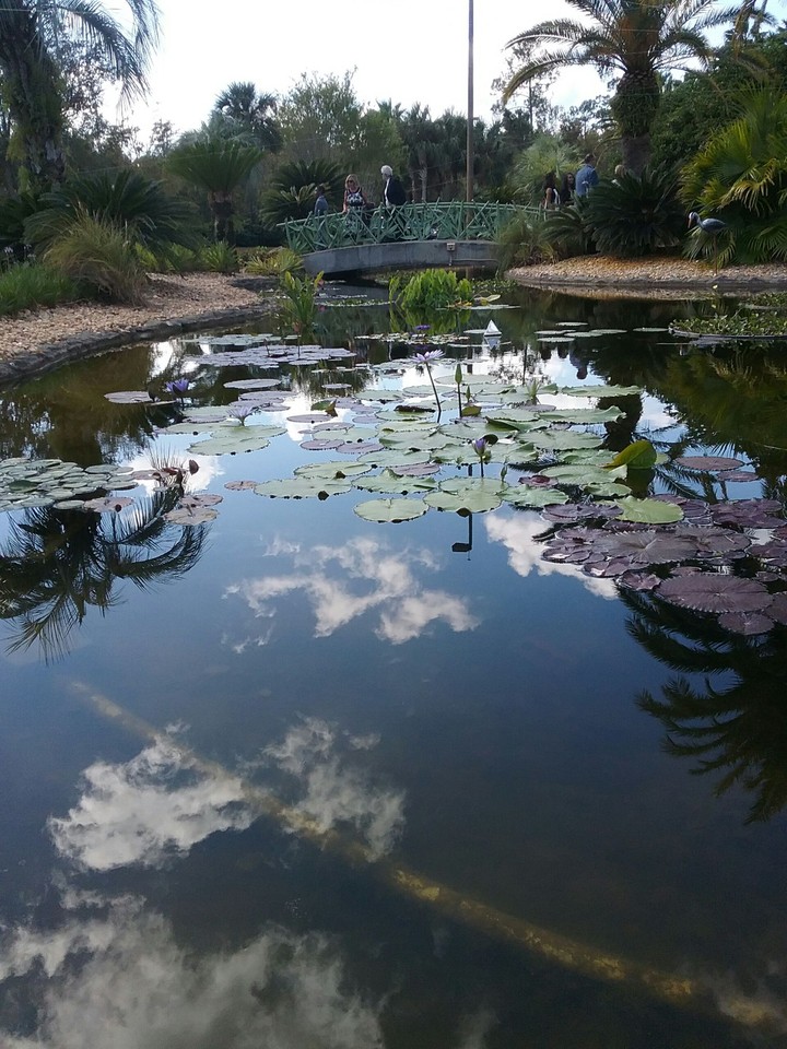 Sky Reflection