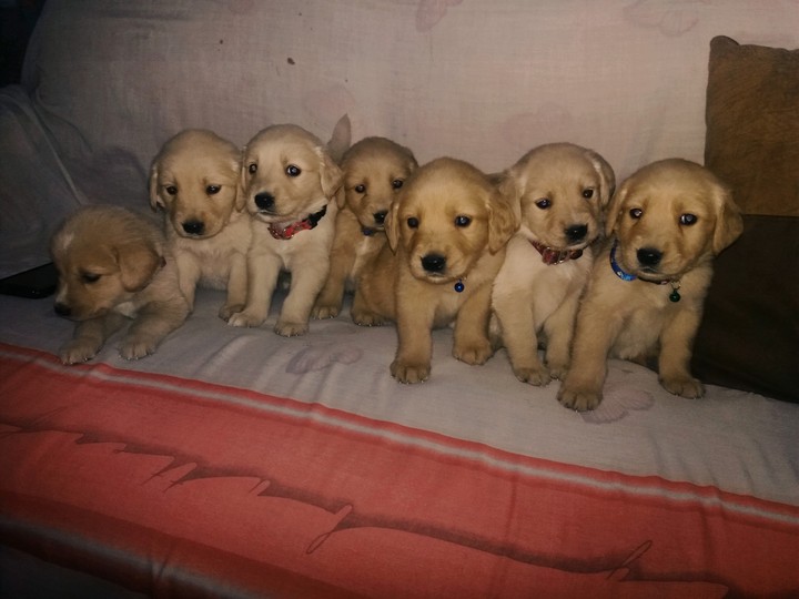 My beautiful babies