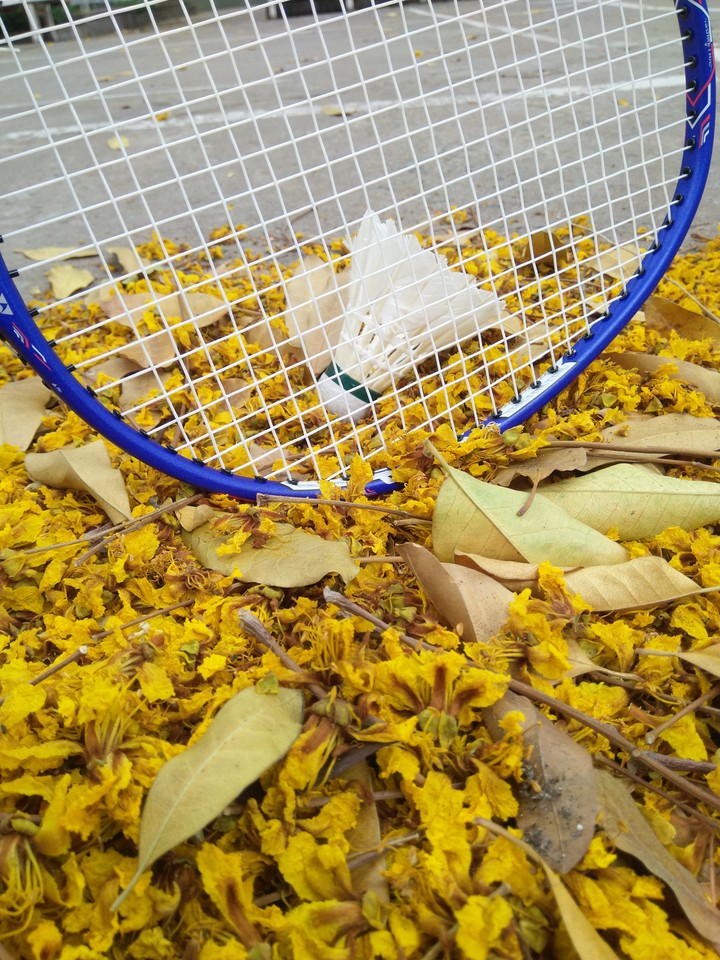 Yellow ?️