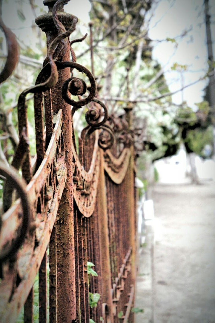 Fence
