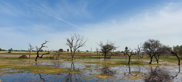 Naturae