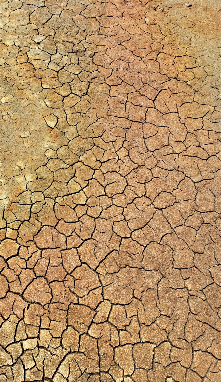 Red ground cracked pattern