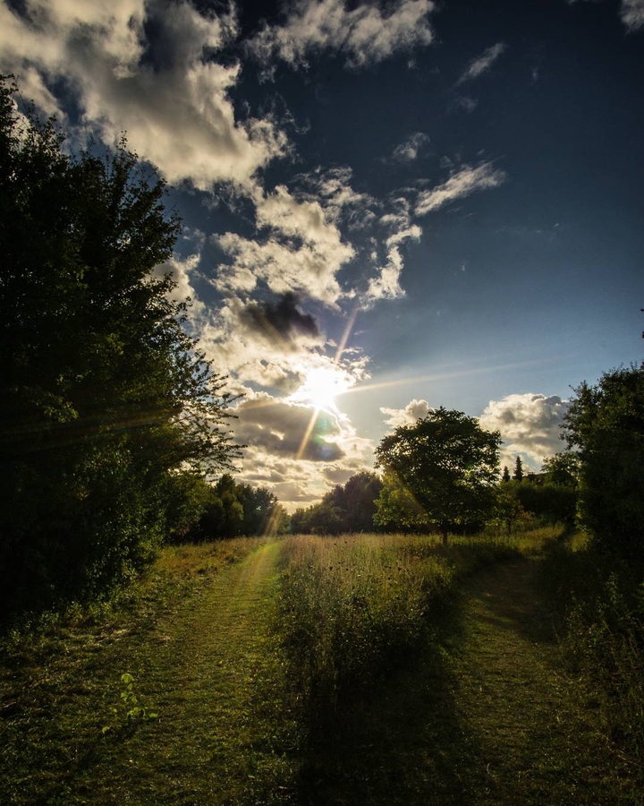 Behind the House