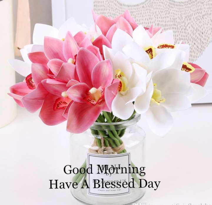 good morning