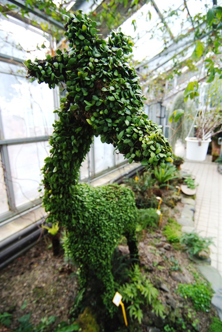 Houseplant