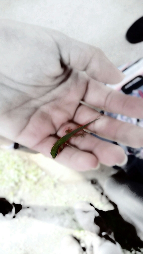 o((*^▽^*))o LIFE
