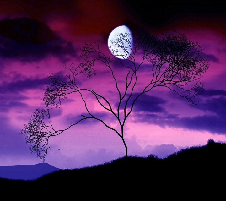 Lila nacht 
