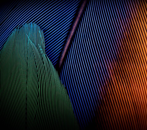 colorful