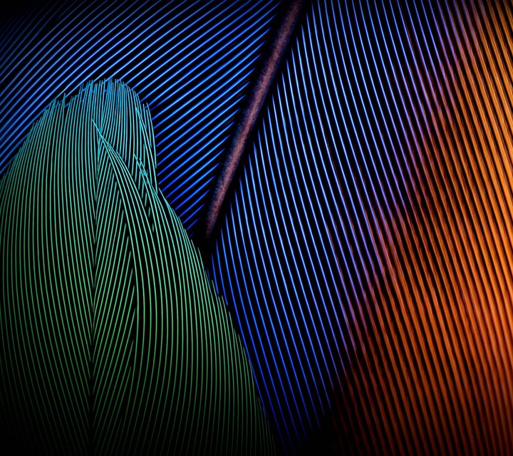 colorful