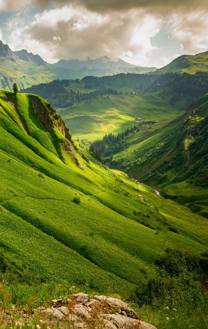 Nature's Beauty