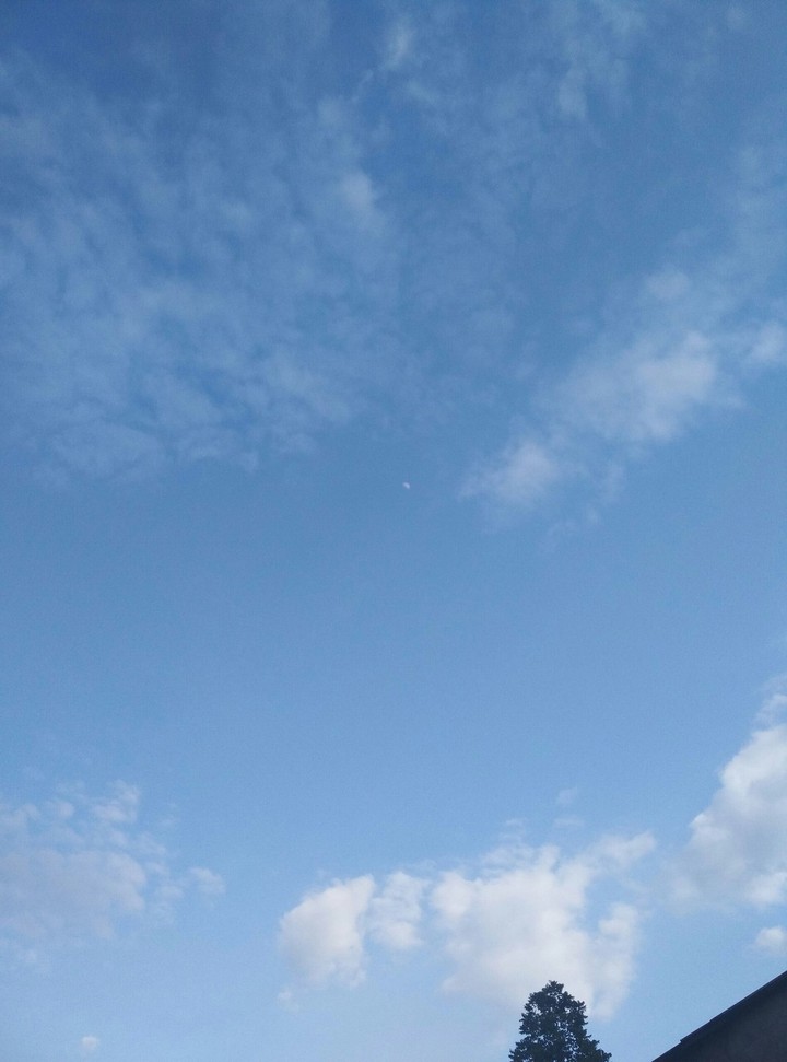 little moon