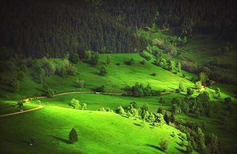 Maşallah