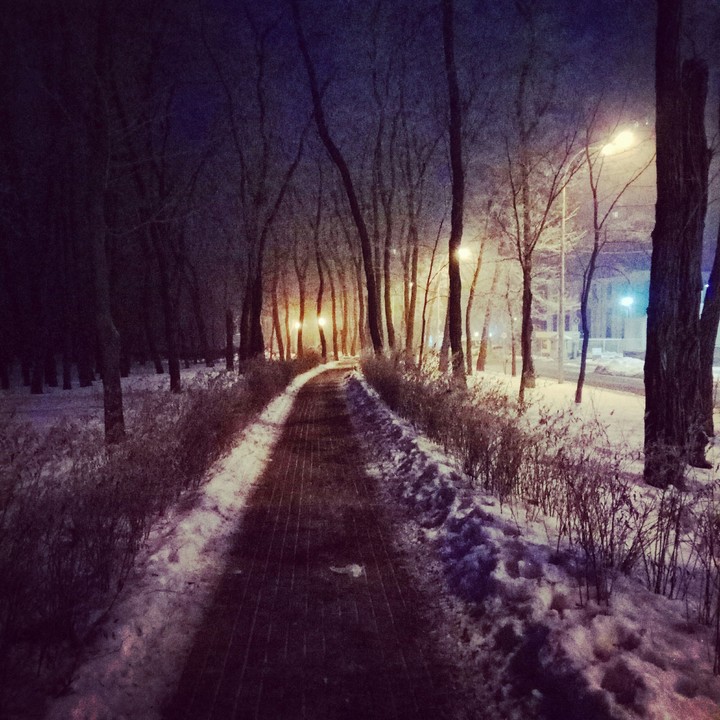 night walk