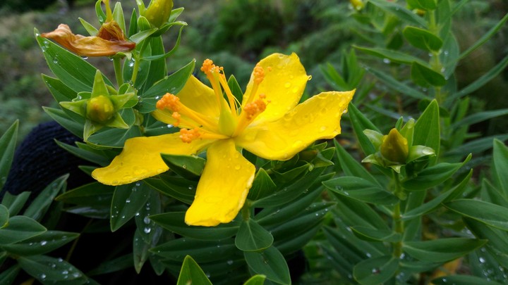 munnar
