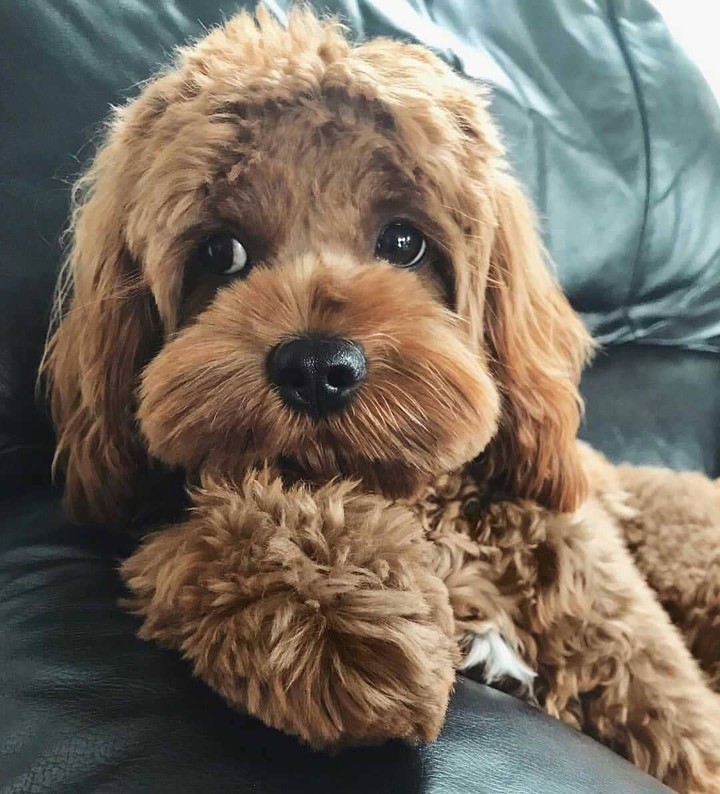☺️☺️☺️