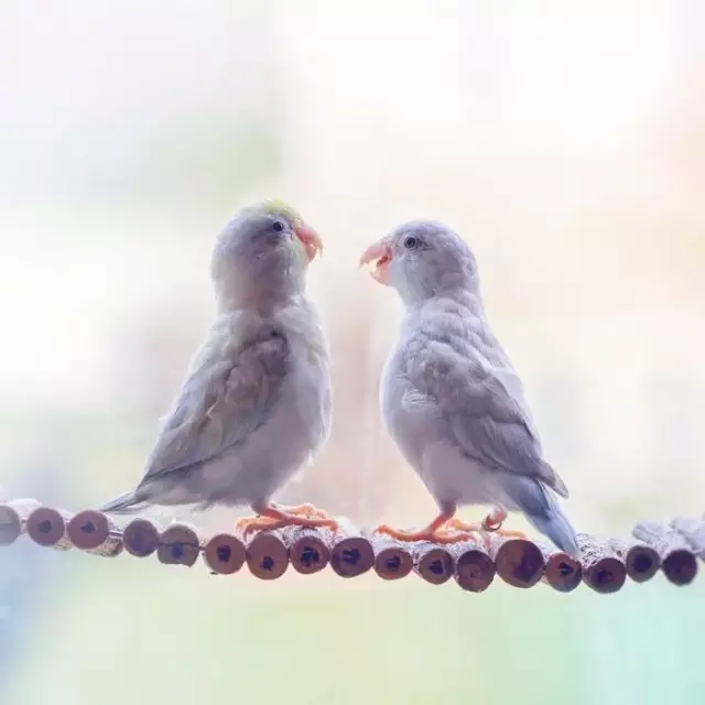 cute