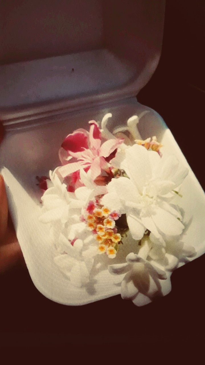 flowers