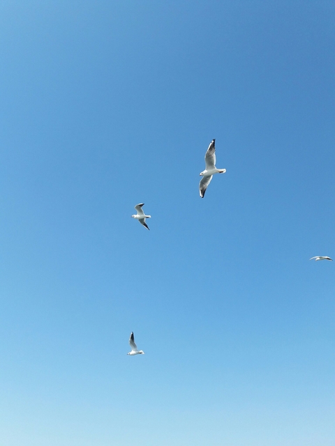 izmir aegean sea