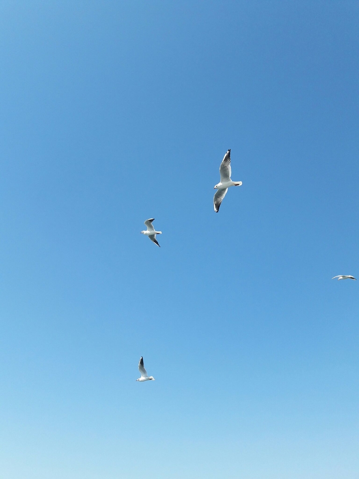 izmir aegean sea