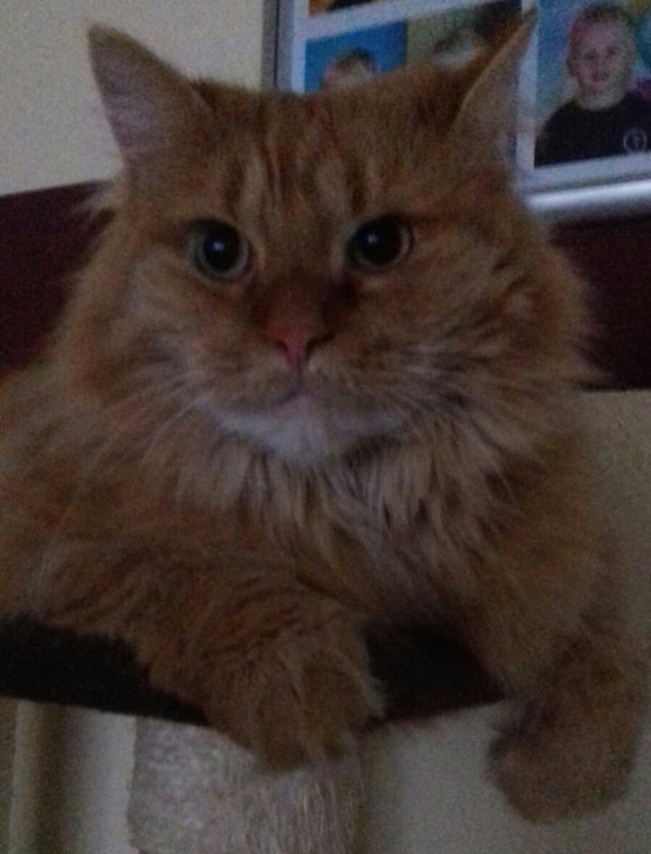 Max