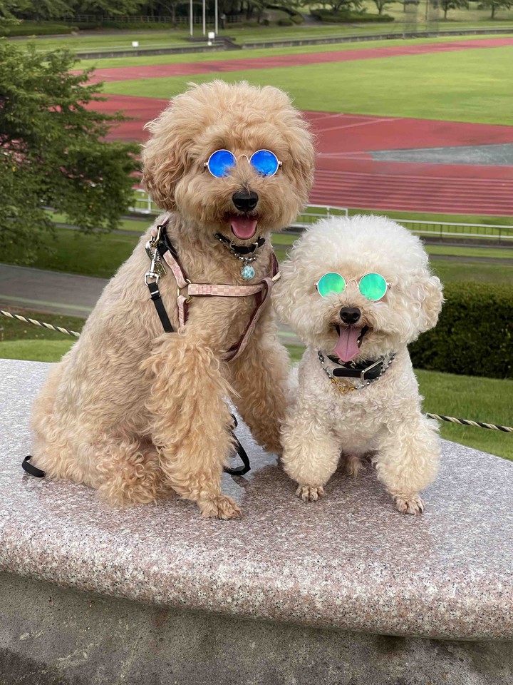 Lucky & Money