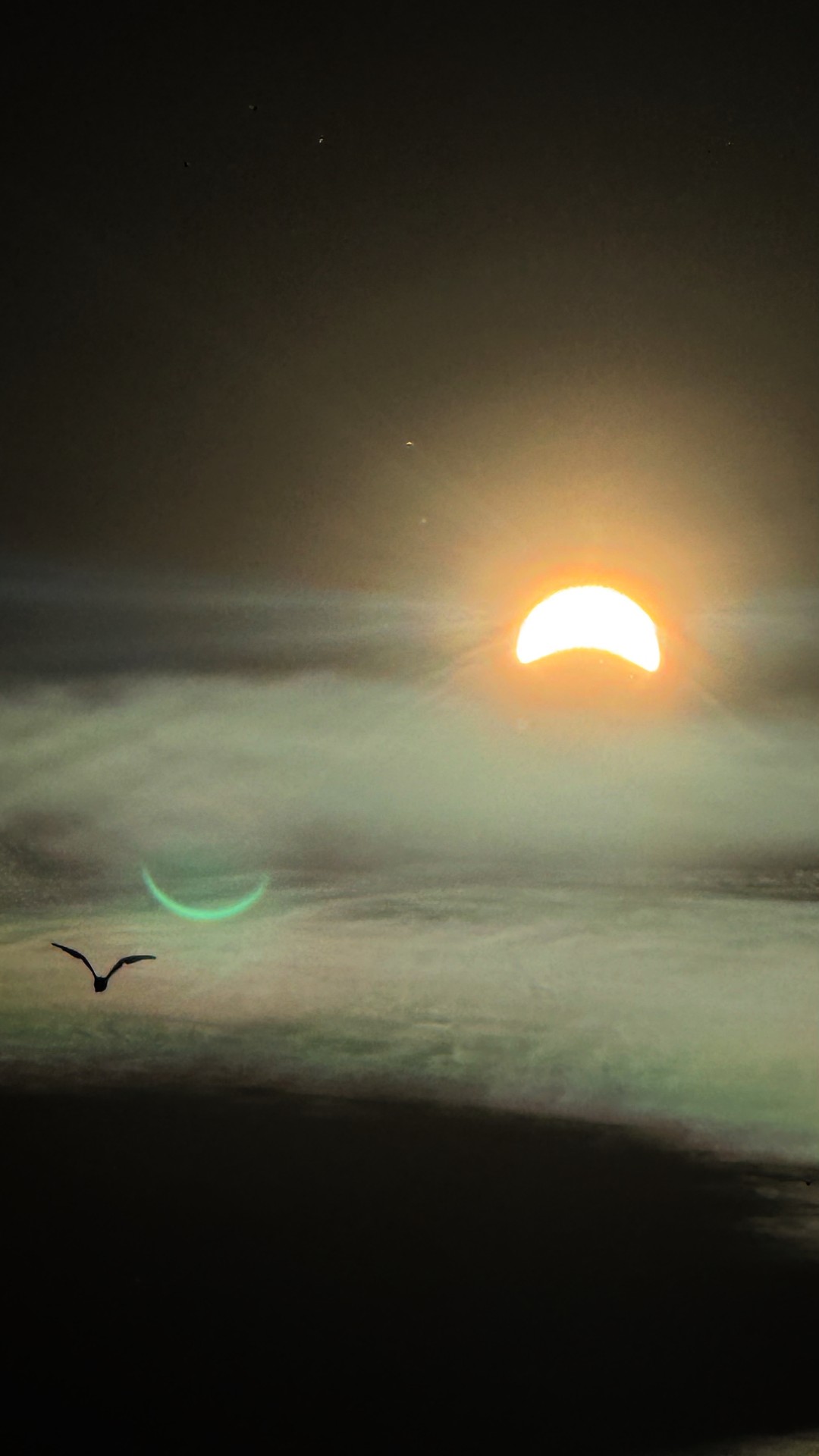 sunrise, ocean wallpapers