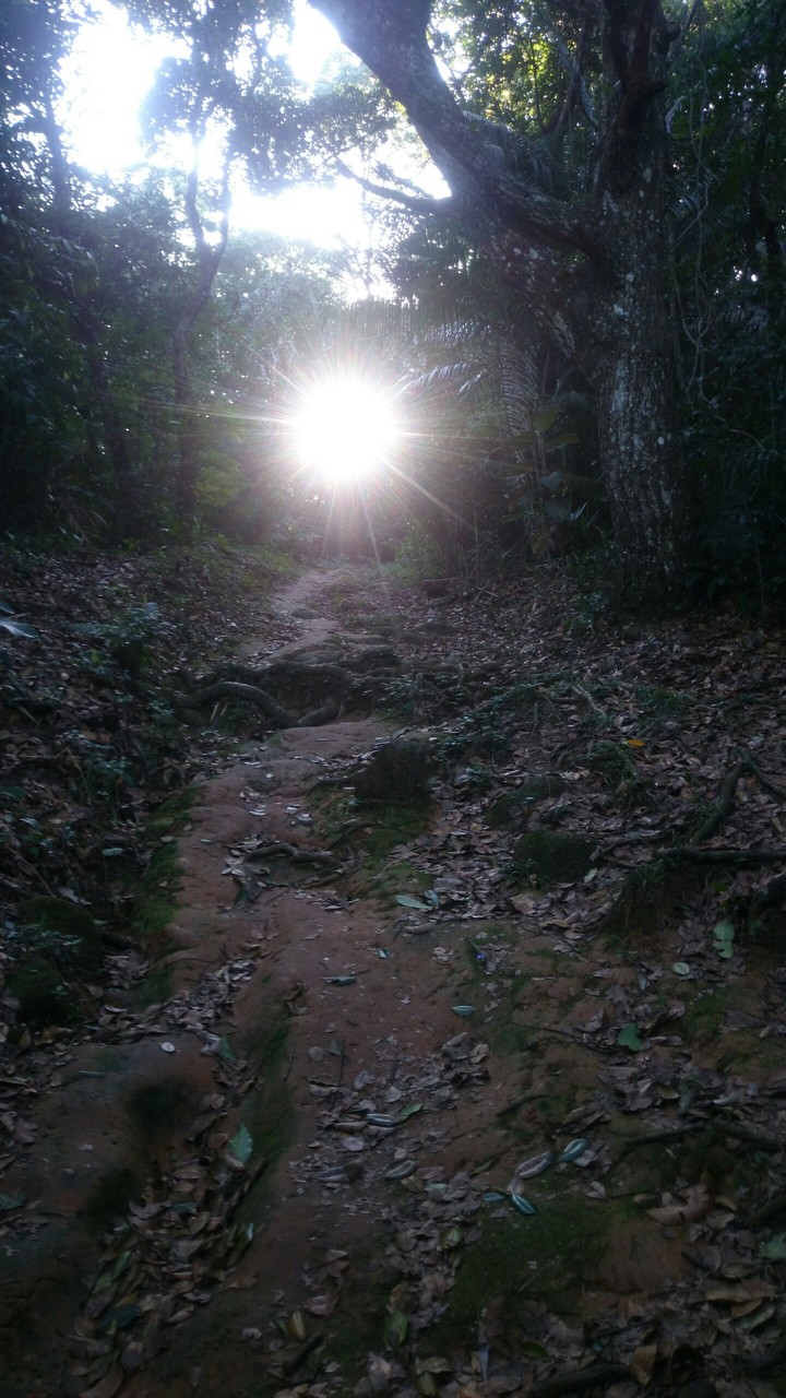 trilha praia branca litoral norte Brasil