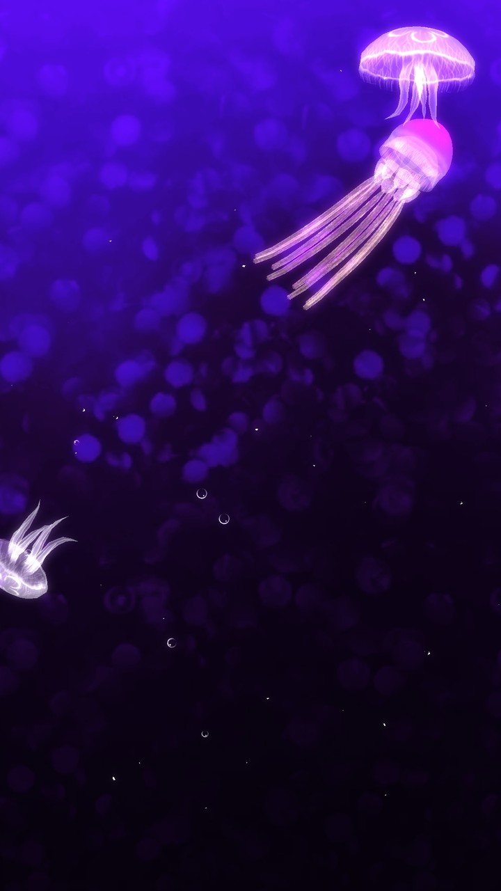 meduse