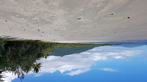 Myall Beach, near Cape Tribulation, Queensland