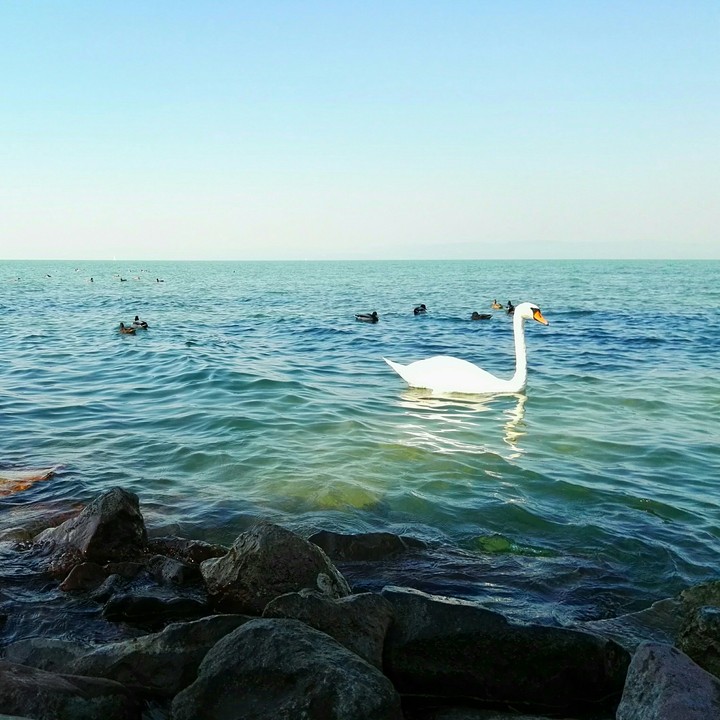 lake