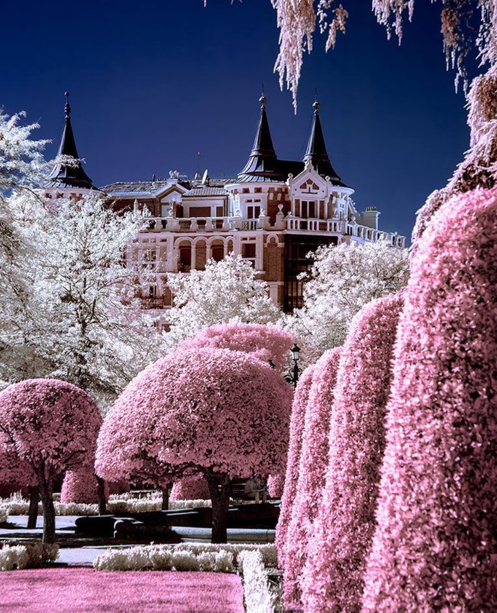 sugar garden