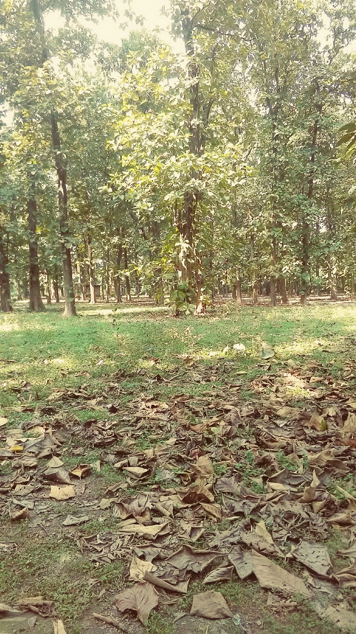 new cooch behar